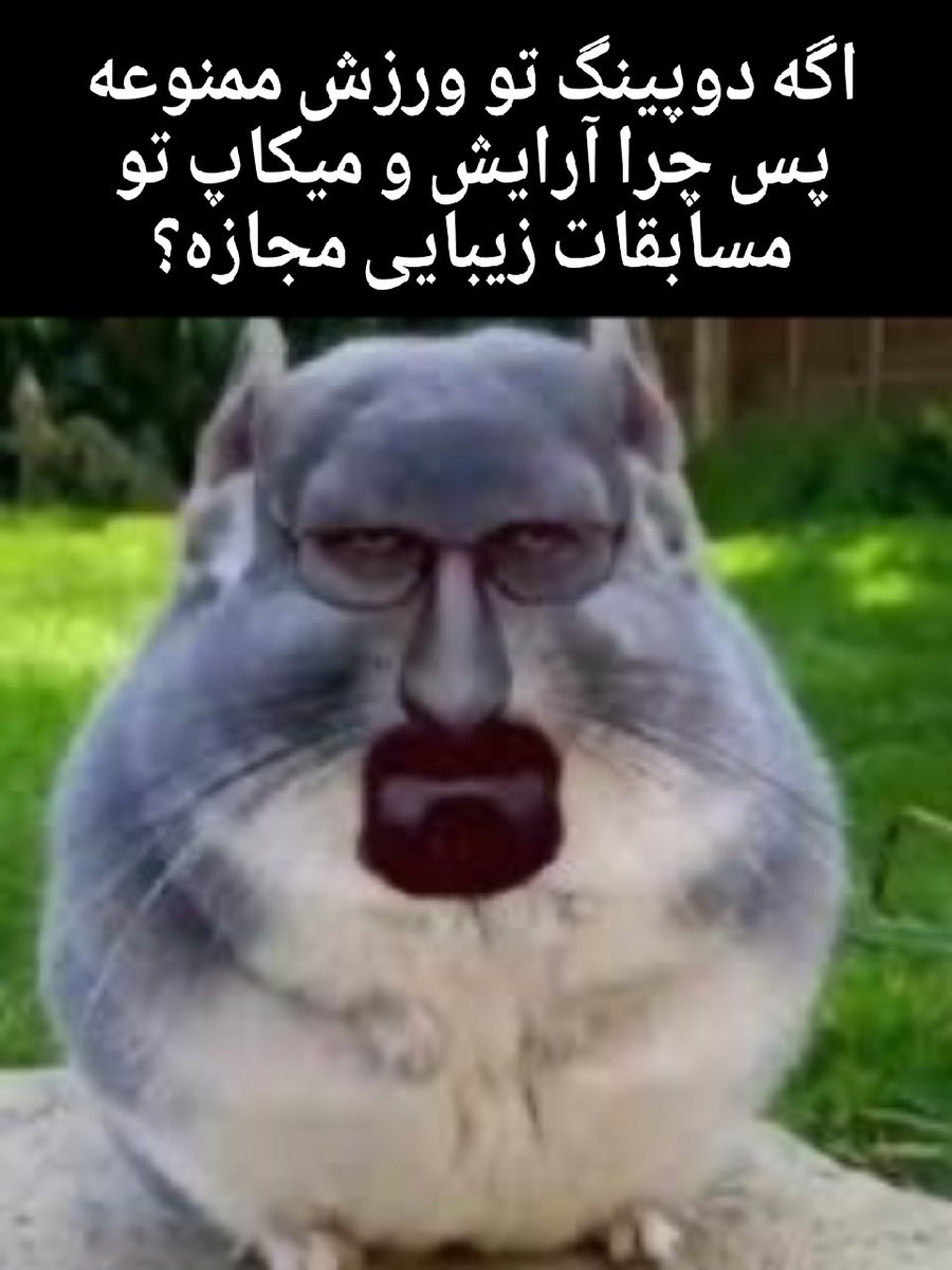 درحالی که داری به جواب این سوال فکر میکنی فالو کن تا فالو بک هم بگیری