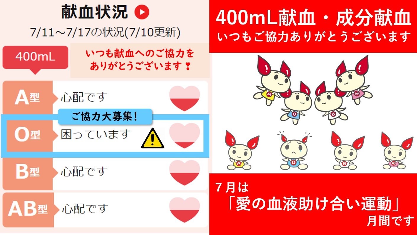 基礎からの血球観察ガイド   /丸善出版/バ-バラ・Ｊ．ベイン（単行本） 基礎からの血球観察ガイド /丸善出版/バ-バラ・J．ベイン（単行本）