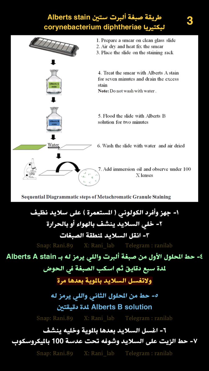 خطوات صبغة Alberts stain

للكشف عن بكتيريا corynebacterium diphtheriae

#مختبرات_طبية