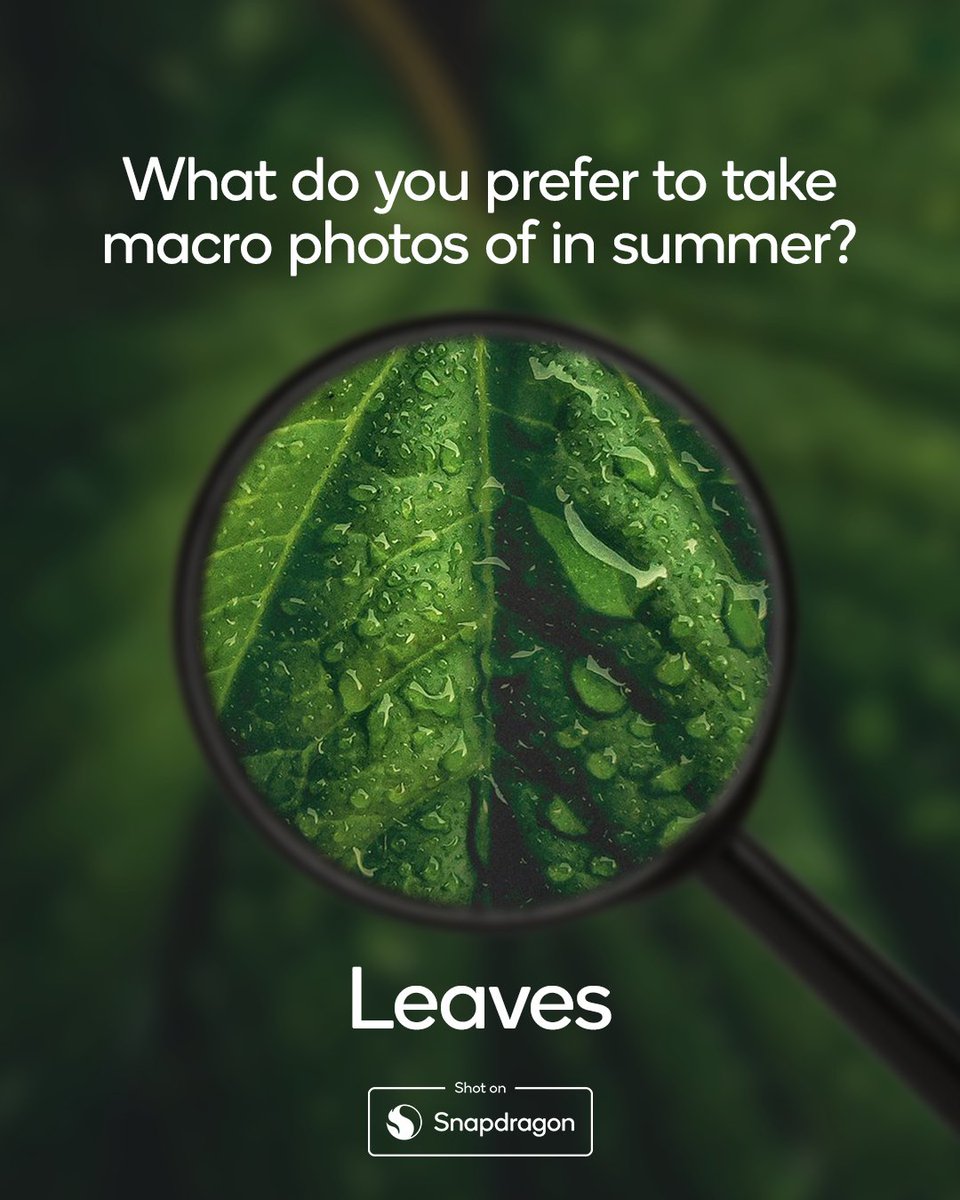 Snapdragon_UK's tweet image. 🌼, 🍃, 🐝 or 🌱?
@orange_scooter, @OfficialMr_West, @rick00357876097 and @yo_mismo1 captured these stunning Macro shots, all #ShotOnSnapdragon 🙌