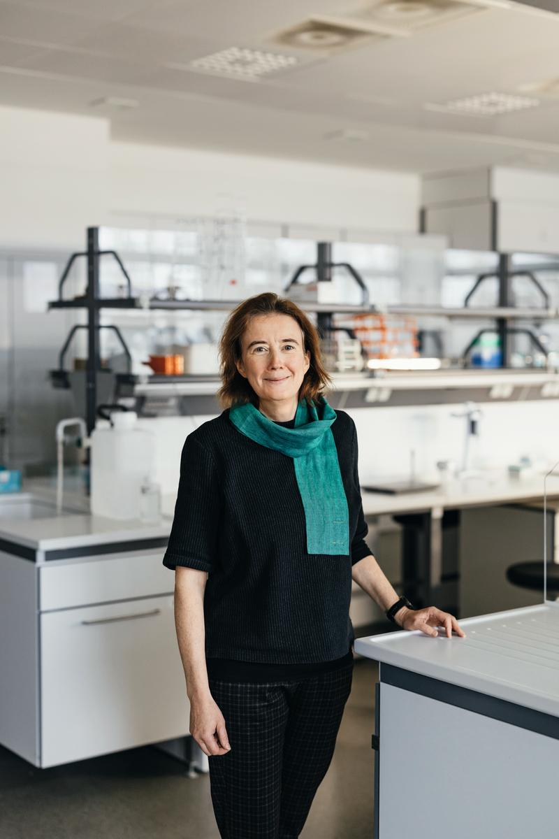 🤩25 Jahre Baden-Württemberg Stiftung - 25 Menschen! 🔬Eileen Furlong ist Genombiologin am <a href="/embl/">EMBL</a> in Heidelberg. Sie wird im Programm 𝘐𝘯𝘵𝘦𝘳𝘯𝘢𝘵𝘪𝘰𝘯𝘢𝘭𝘦 𝘚𝘱𝘪𝘵𝘻𝘦𝘯𝘧𝘰𝘳𝘴𝘤𝘩𝘶𝘯𝘨 gefördert.➡️Jetzt lesen im aktuellen Perspektiven-Magazin: bwstiftung.de/Perspektiven25