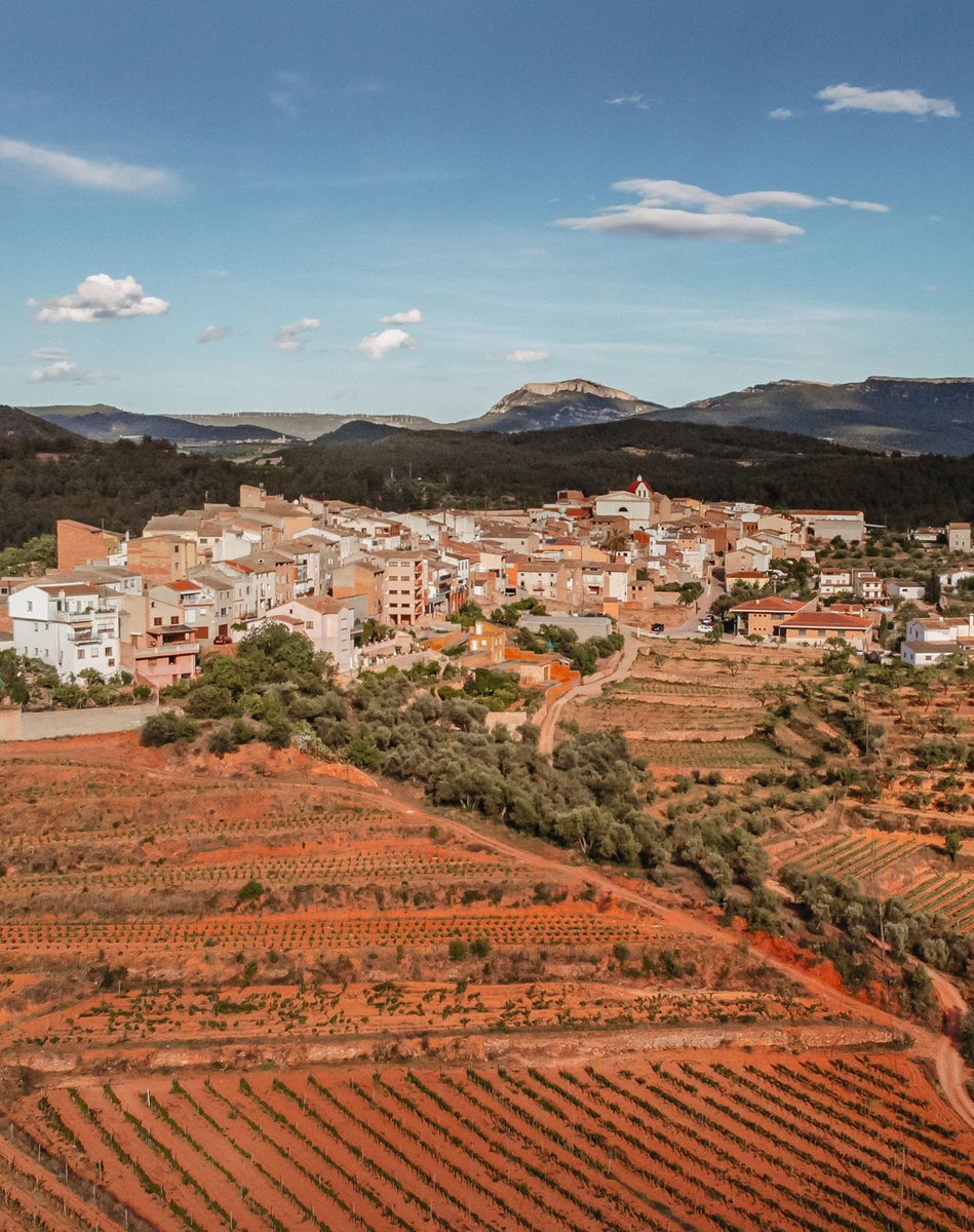 📍Som del Masroig. I per això, ens devem al Masroig.

Creiem en una sostenibilitat que no només mira la natura 🌱, sinó també la gent i l’economia que fan viu el nostre territori.

Cada ampolla que fem neix amb aquest compromís: cuidar el que ens fa ser qui som. 🍷