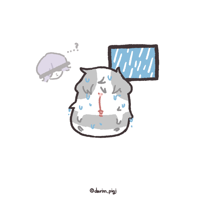 darim_pigi's tweet image. 눅눅합니다