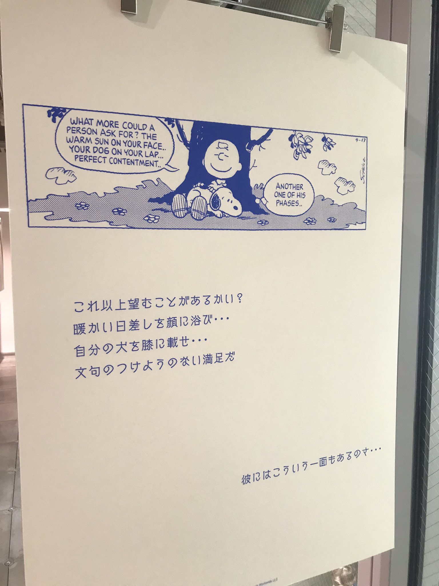 こてっちゃん (@crazynoopy) / X