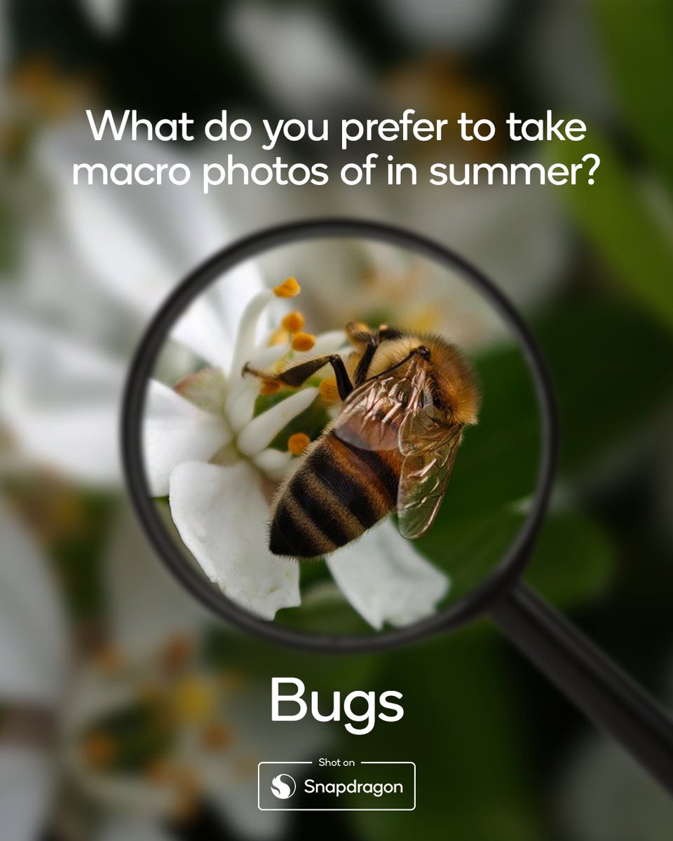Snapdragon_UK's tweet image. 🌼, 🍃, 🐝 or 🌱?
@orange_scooter, @OfficialMr_West, @rick00357876097 and @yo_mismo1 captured these stunning Macro shots, all #ShotOnSnapdragon 🙌