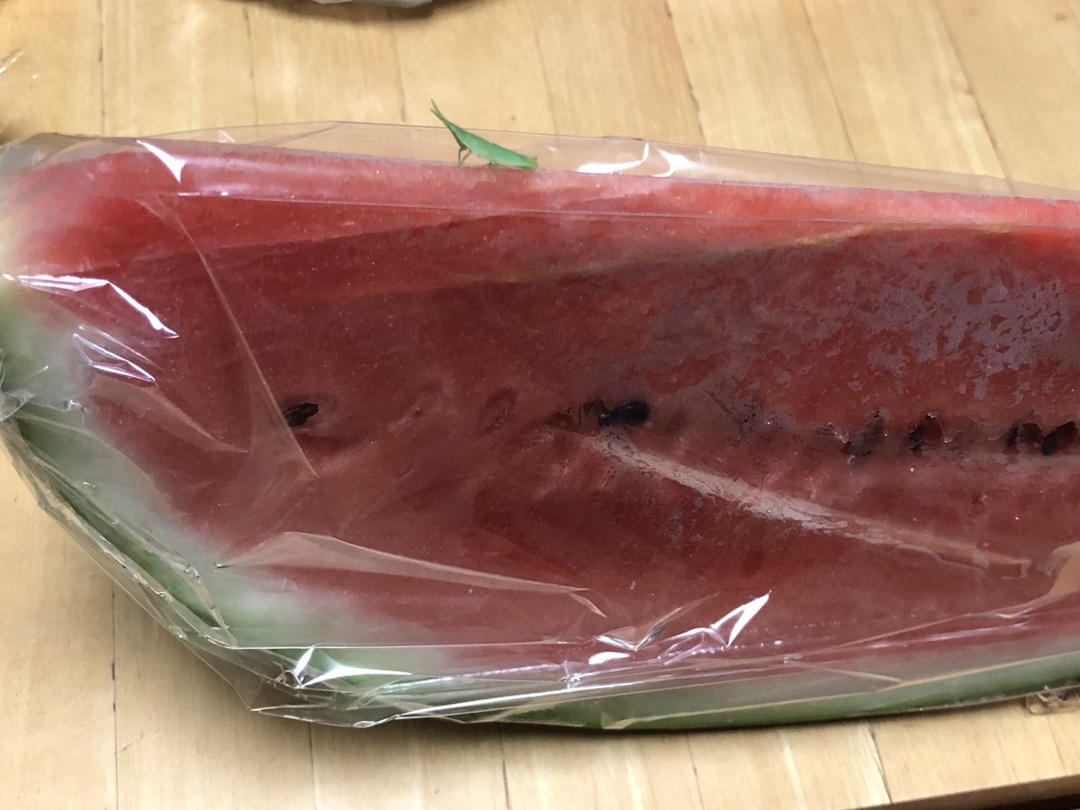 michitomo1's tweet image. 期日前投票してきました 帰りに買ったスイカ🍉と一緒に何やら連れて帰ってきてしまった。。 この子らがこれ以上生きづらくならない地球である努力を真剣にやってくれる政治家と政党が選ばれて欲しい。。