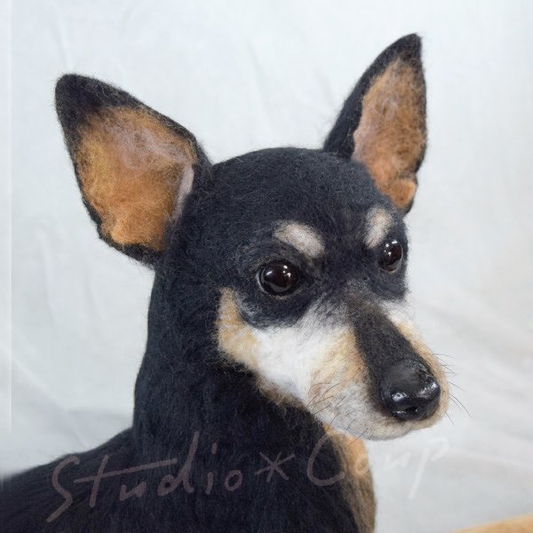 studio_coup's tweet photo. ミニチュアピンシャーさんを
作らせていただきました。🐶

#羊毛フェルト #ペットロス　#うちの子　#handciaft  #feltingneedle  #dog  #creema #Miniature Pinscher
#ミニチュアピンシャー
https://t.co/DXvTn1mMPh https://t.co/xeCthjkVho