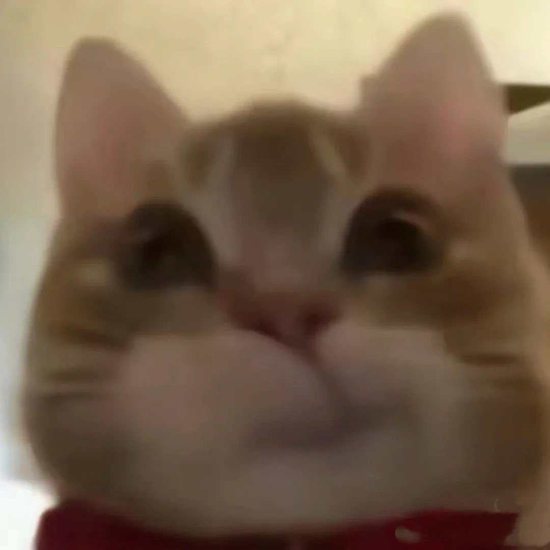 hi_ttying's tweet image. 歪嘴小猫
连发色都差不多🥰

 #슬기
#seulgi 
#SEULGI
