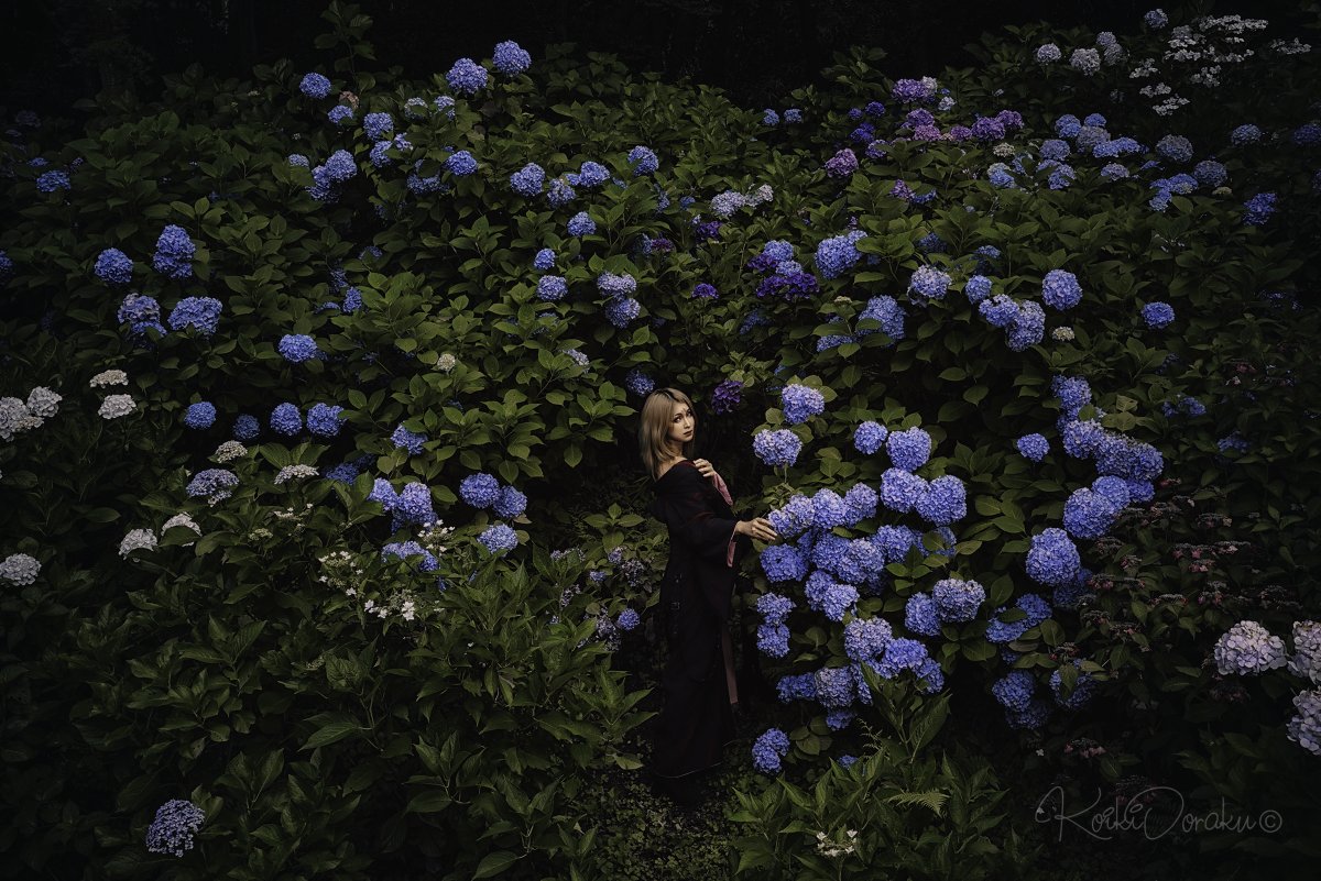 relate666's tweet image. 大半の蜜蜂は大輪に惹かれて集まり、
美辞麗句を並べて華を愛で、
甘い蜜にありつこうとするものだが、
稀に私のように、
膨れ上がった棘こそ愛しく思う蜜蜂もいる...
model : @himemiya_ran