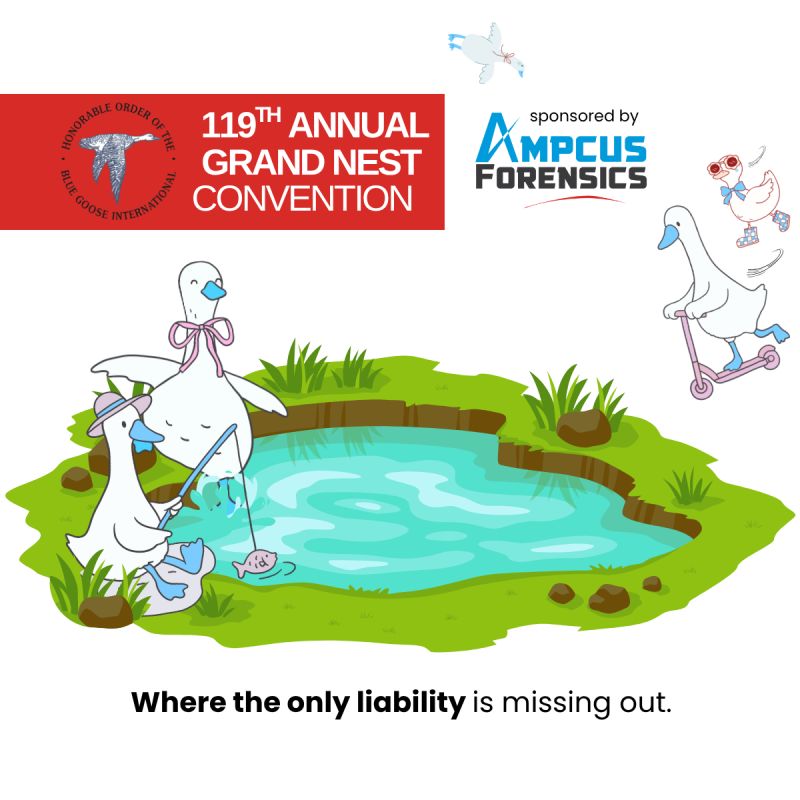 AmpcusForensics's tweet image. The Ampcus Forensics team is excited to be in #Boston July 27-31 to make some pond memories with flocks from around the globe at the Honorable Order of the Blue Goose International&apos;s 119th Annual Grand Nest Convention.

Here&apos;s to our insurance colleagues doing well by doing good.