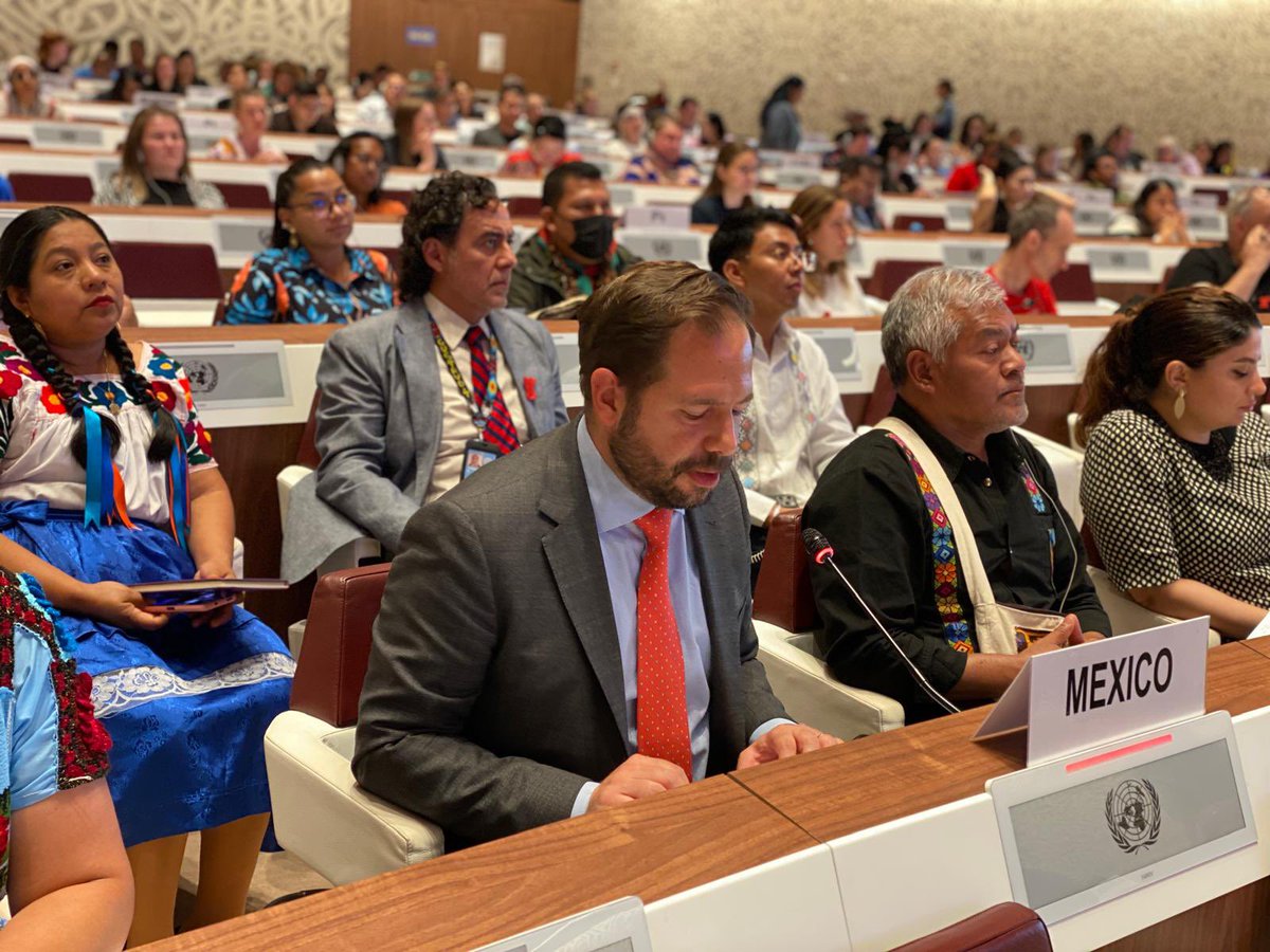 XeewTorres's tweet photo. México-Guatemala apoyan participación amplia, efectiva y equilibrada entre las siete regiones culturales del mundo, de #PUEBLOSINDÍGENAS en #CoDH @UN_HRC con base en su derecho de LIBRE DETERMINACIÓN. Reiteran que no son ONGs ni “comunidades locales”. @INPImx @DEELAYUUK @SRE_mx https://t.co/V5xnBXm7uU