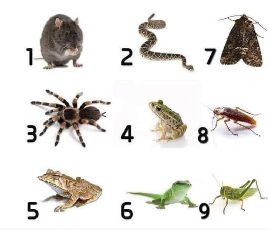 Which number is your girlfriend 😂