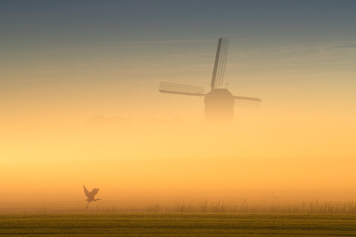 Morning flight on the Dutch countryside. Taken last week on a misty morning here in the Netherlands.