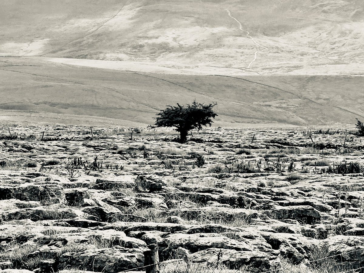 Iskra1234's tweet image. An excellent trip out with @northernassist after a night shift today. Just over an hour from Leeds city centre to the heart of the Yorkshire Dales. Perfect conditions for a stroll up Ingleborough too 😀