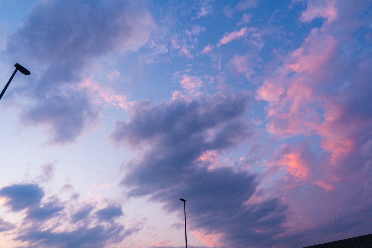 ごりかめ️️️ 𖤐⸝⋆ (@goricame_jp) on Twitter photo 