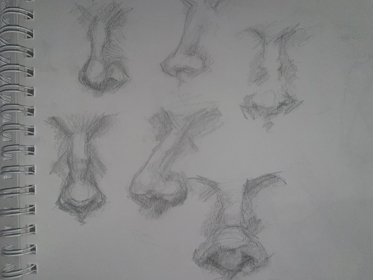 Springdoodle's tweet image. Having a love hate relationship with anatomy rn💔
