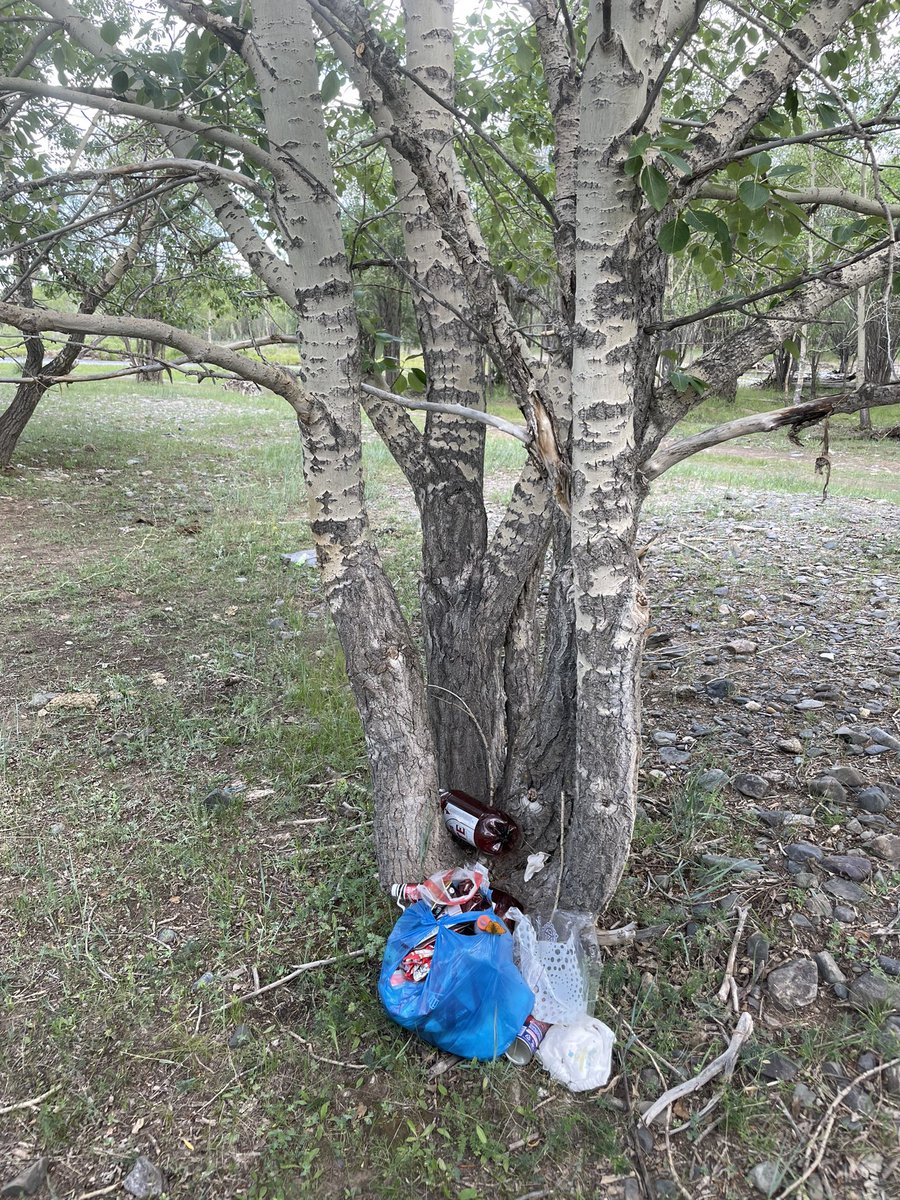 Сайхан амарч байна уу, явахдаа хогоо аваад яваарай гэхэд дуугарч ядаад байсан 2 хүүхдээ дагуулан зугаалж яваа эхнэр, нөхөр явахдаа хогоо ингээд орхиж ...

Ямар ч хараал гангадахаар хүн дүрстэй сүгнүүд ...

Голын эрэг дагуу зугаалахдаа газрын сайхныг шилнэ, сонгоно. Тэгээд