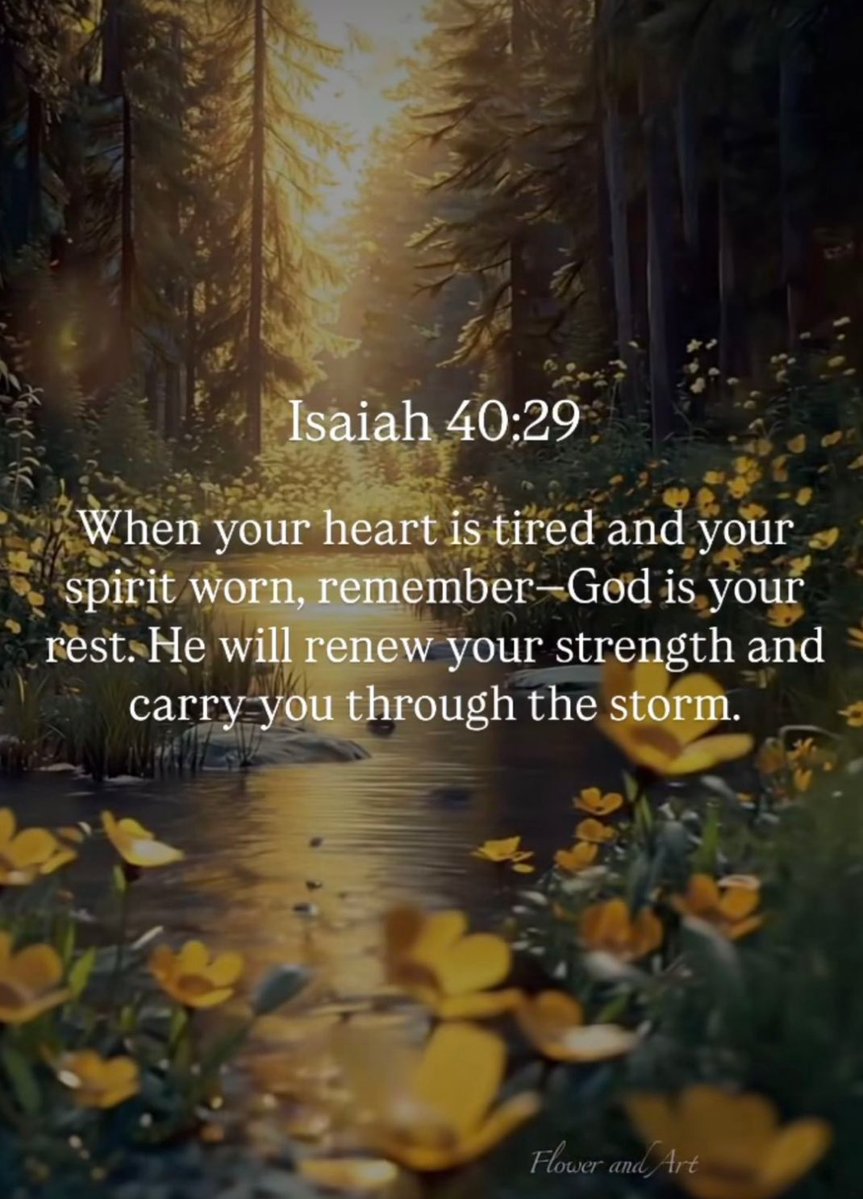 ohnochip's tweet image. Good Morning Family,
Y鈥檃ll have a productive and blessed day in the Lord 馃檹馃徎馃檶馃徎鈽曪笍鉁濓笍
#PrayHard