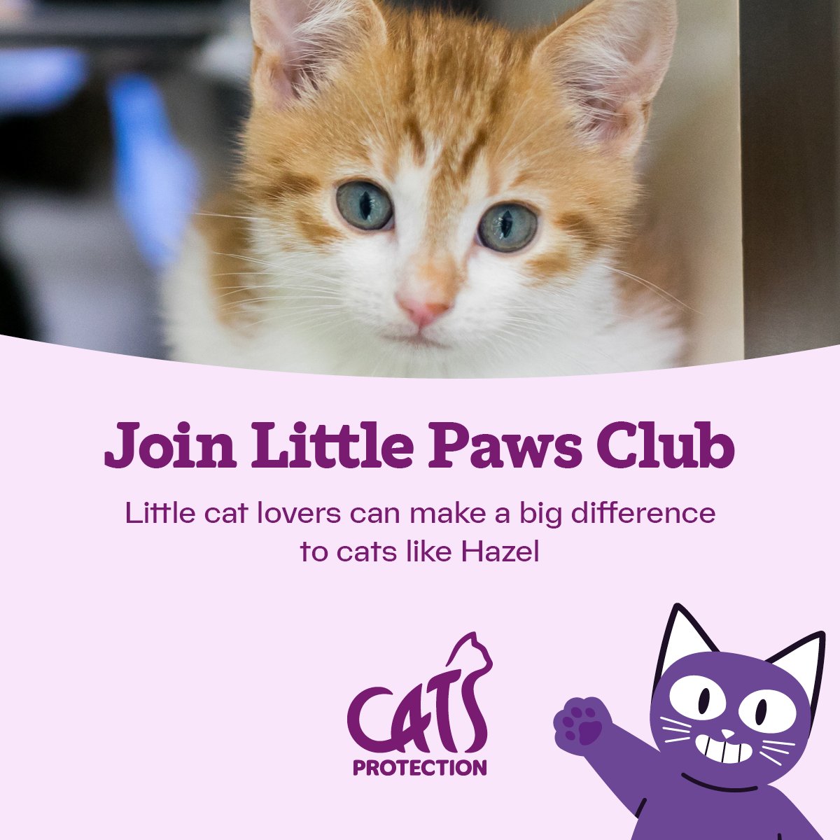 CatsWarrington's tweet image. Spark a love for cats with Little Paws Club! 😻
Get monthly packs with fascinating facts, fun activities, and surprises! Perfect for ages 5-7🧒.
Learn more: cats.org.uk/lpc-regional