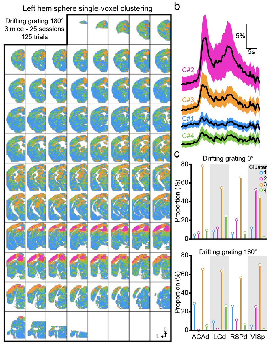 Clembrunner's tweet image. PyfUS provides an end-to-end pipeline for fUS data: from registration &amp;amp; signal processing to data-viz.
✅Region-based averaging (400+ regions)
✅Correlation analysis
🔥 Plus: single-voxel clustering for fine spatiotemporal insight at the voxel level.
#neuroimaging #fUS #BrainData
