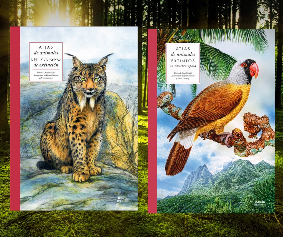 Atlas de animales extintos y Atlas de animales en peligro

Descúbrelos en tu librería o en koalaediciones.es

#atlasdeanimales #librodivulgativoparaniños #lecturas #fauna