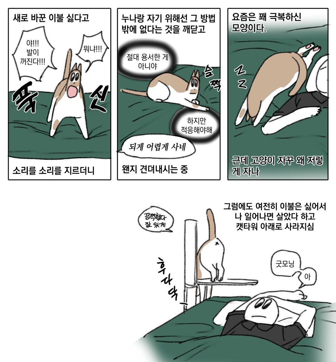 피스타치호 (@pistachih0) on Twitter photo 