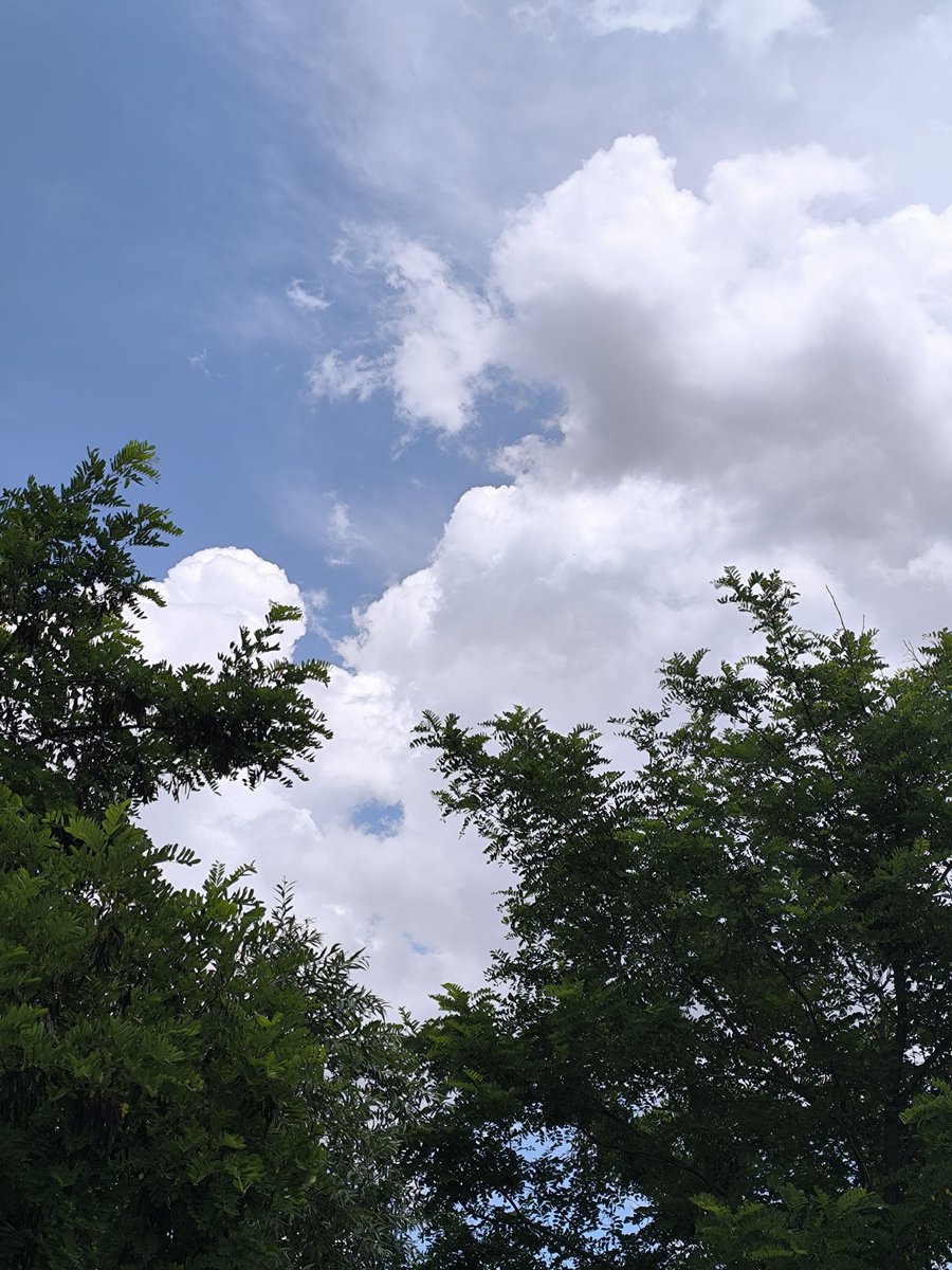 El âlemi izlemek, tevekkülün sessiz halidir...