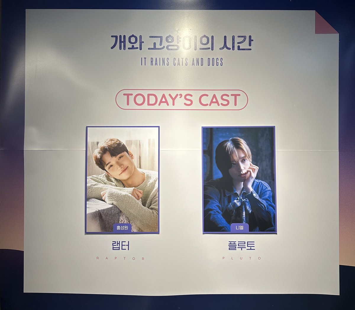 250716 개와 고양이의 시간