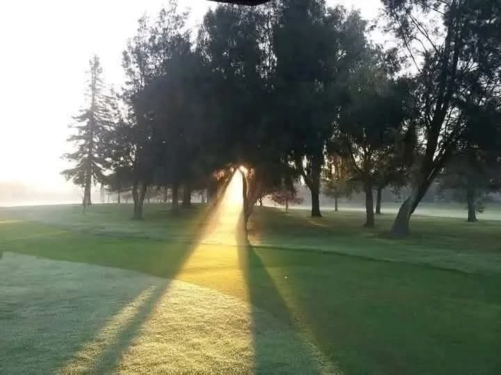 «كان لابد من شرخٍ ما، 
هكذا يتسلل النور...