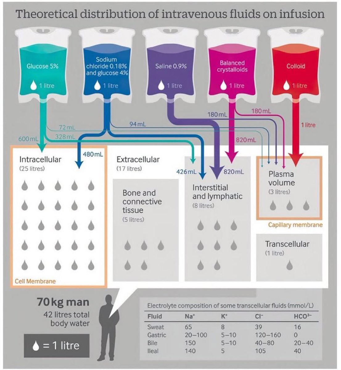 Distribution of IV fluids after infusion 💧💡 

(Courtesy of <a href="/bmj_latest/">The BMJ</a>)
#MedTwitter #MedEd #FOAMcc #MedX