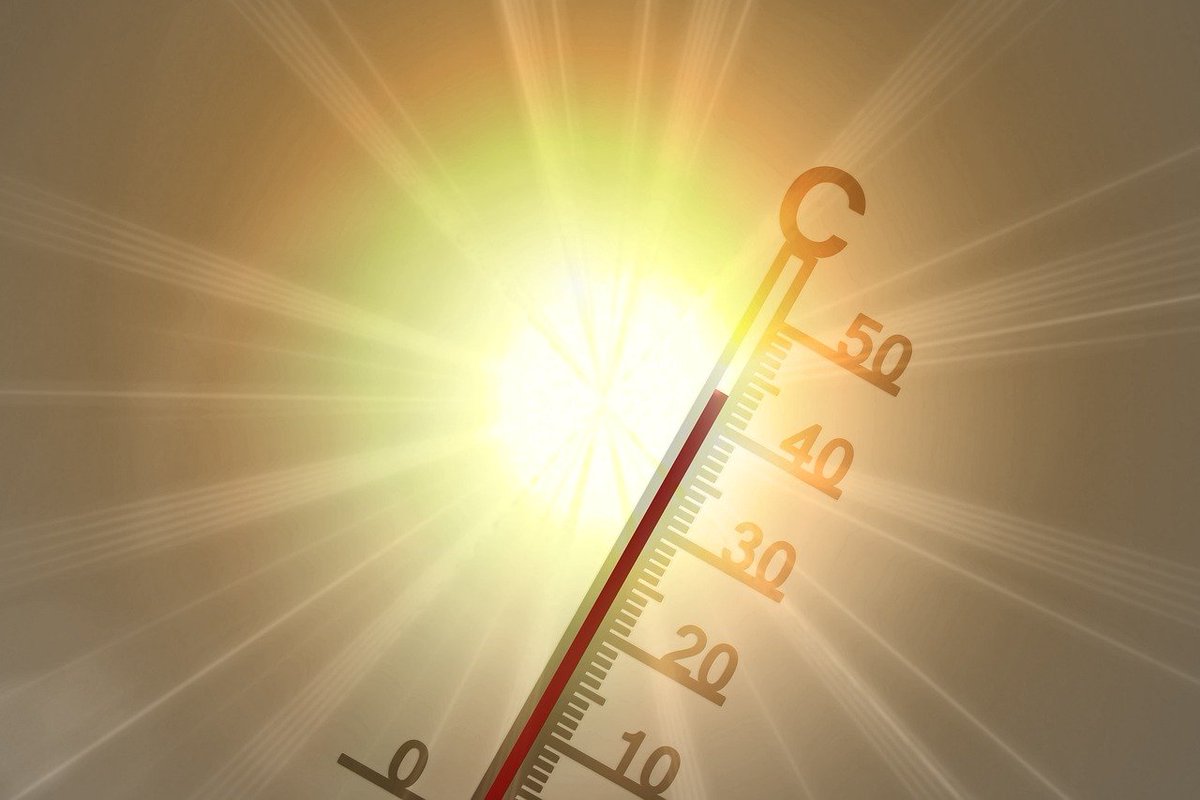 🌡Ante las olas de #calor el PSOE de #Talavera pide poner en marcha #refugios climáticos para proteger a la ciudadanía.

👉+Info: lc.cx/kfCHCk