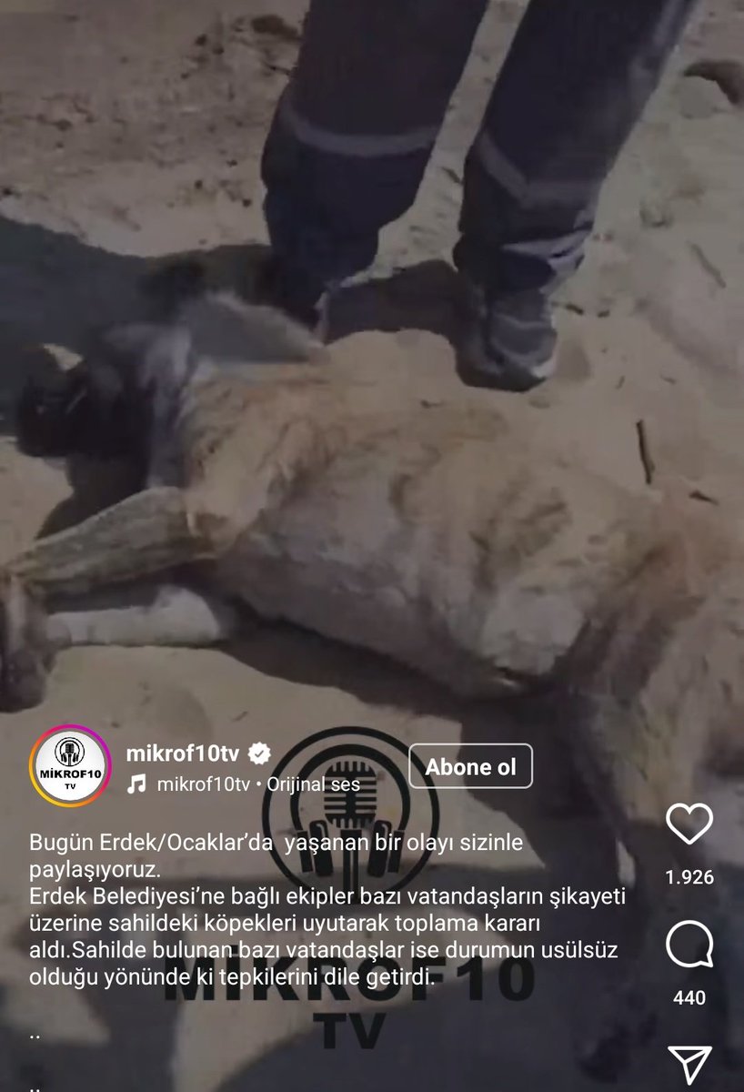 BALIKESİR / Erdek ocaklar sahilinde köpekleri şikayet üzerine usulsüz şekile topluyorlar 
 yayar mısınız lütfen 
<a href="/erdekbelediyesi/">ERDEK BELEDİYESİ</a>