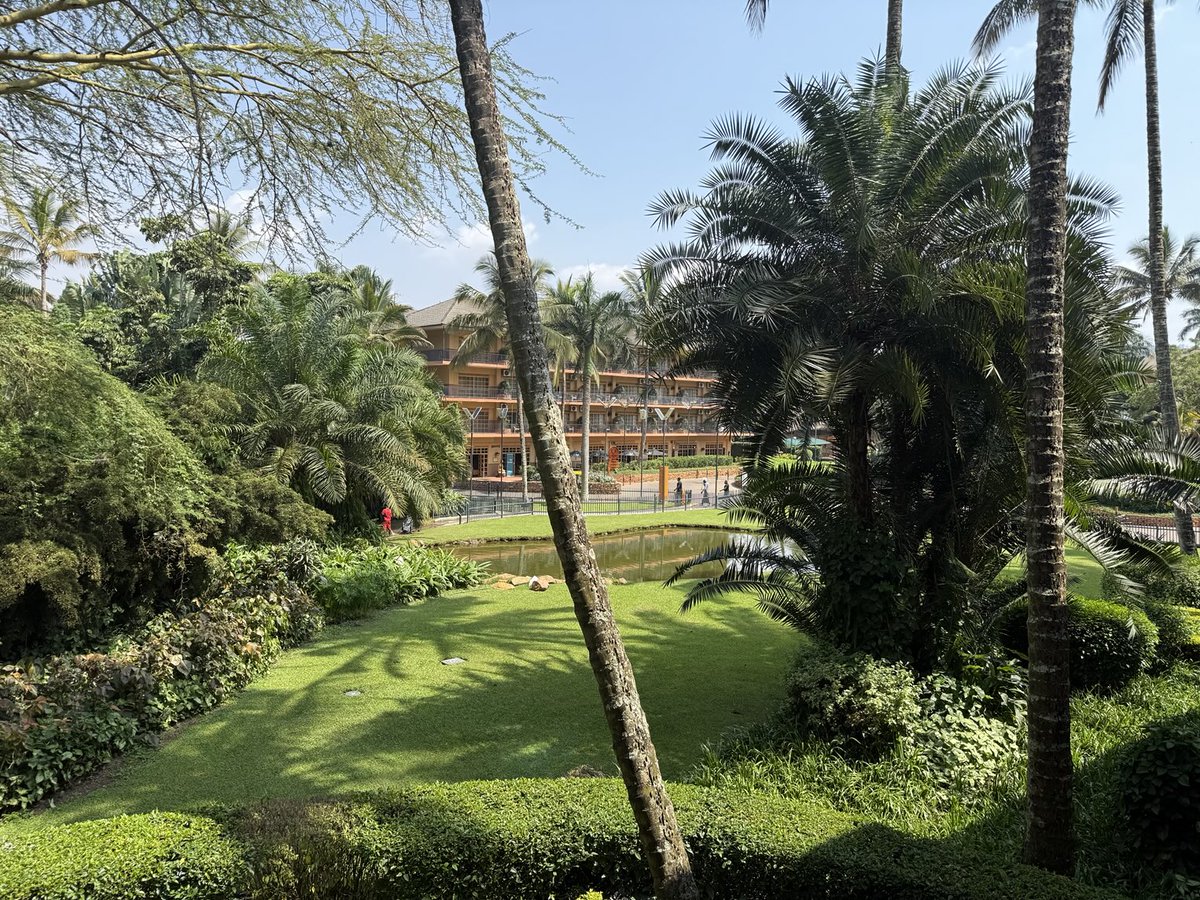 Herbert Mensah (President of Rugby Africa) (@hmensahofficial) on Twitter photo Something so special about Uganda everywhere you look
Thank you, Godwin
<a href="/UgandaRugby/">Uganda Rugby Union</a> <a href="/RugbyAfrique/">Rugby Afrique</a> <a href="/WorldRugby/">World Rugby</a> Something so special about Uganda everywhere you look
Thank you, Godwin
<a href="/UgandaRugby/">Uganda Rugby Union</a> <a href="/RugbyAfrique/">Rugby Afrique</a> <a href="/WorldRugby/">World Rugby</a>