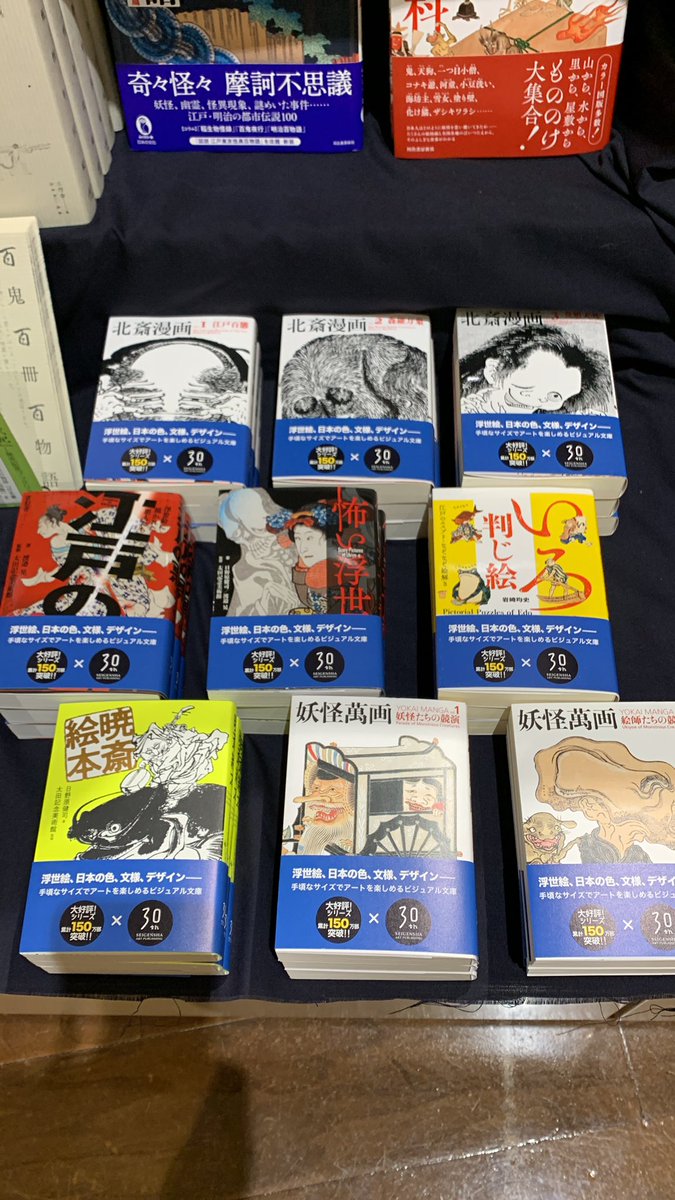 青幻舎　ビジュアル文庫　10冊まとめ売り ビジュアル文庫シリーズ | 青幻舎 SEIGENSHA Art Publishing