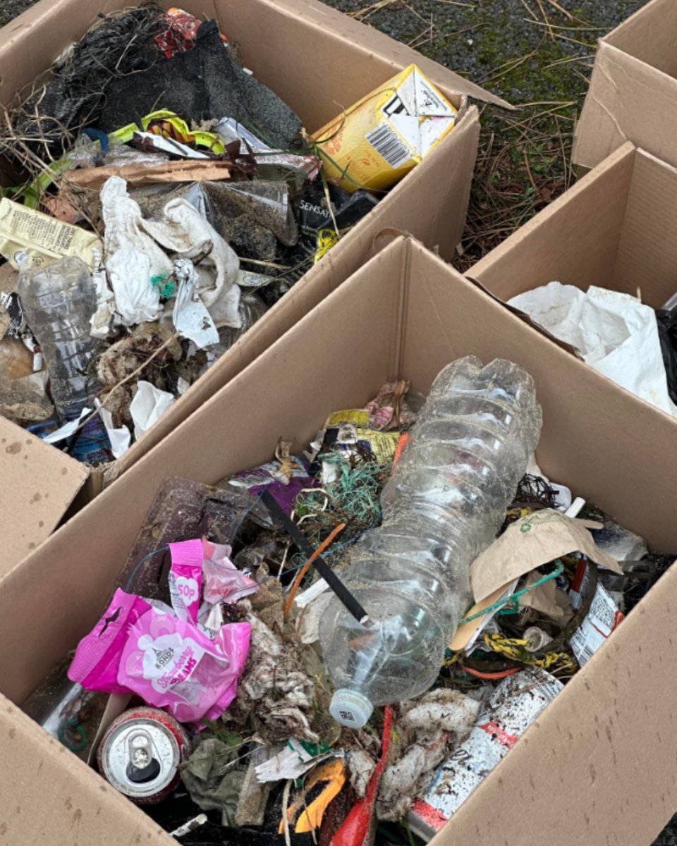 Join us for Plastic Free July! 

This month, say no to plastic and yes to:
• Reusable bottles
• Tote bags
• Beeswax wraps
• Bulk buying

Together, we can cut waste and create change. What plastic free swaps will you make this July?

#GECCO #PlasticFreeJuly