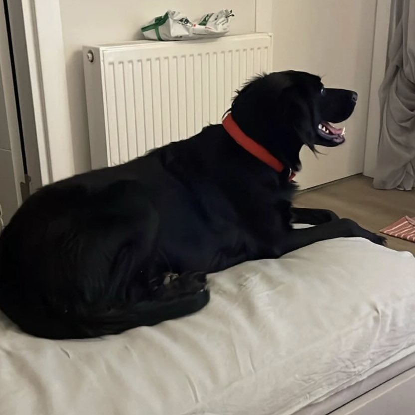 YUVALANDII🥳🥳🧿