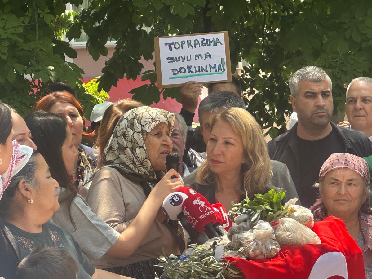 Süreyya Öneş Derici tweet media