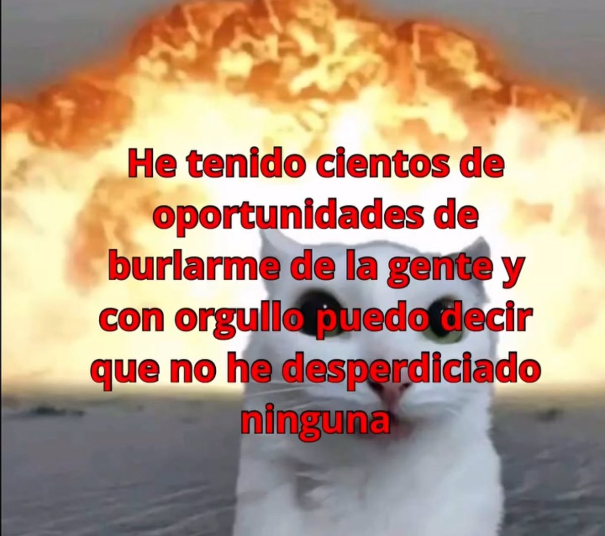 piña sin pizza (@skereunpesado) on Twitter photo 