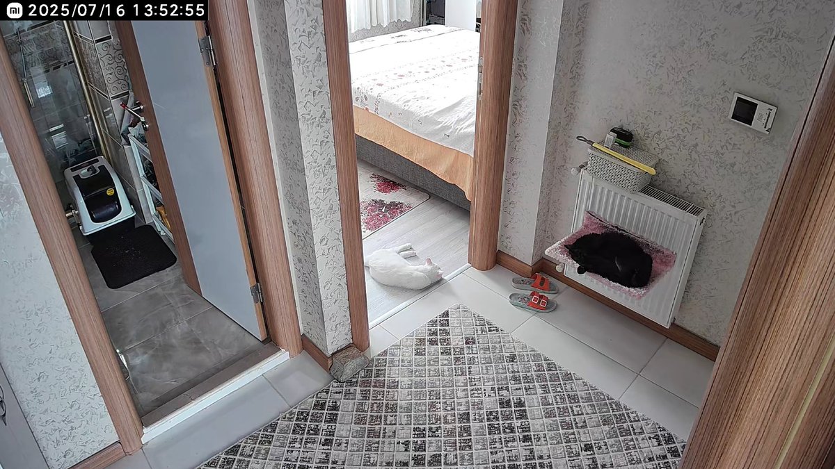 zeytineylem's tweet image. Çıcaktan bayımıçtık😡