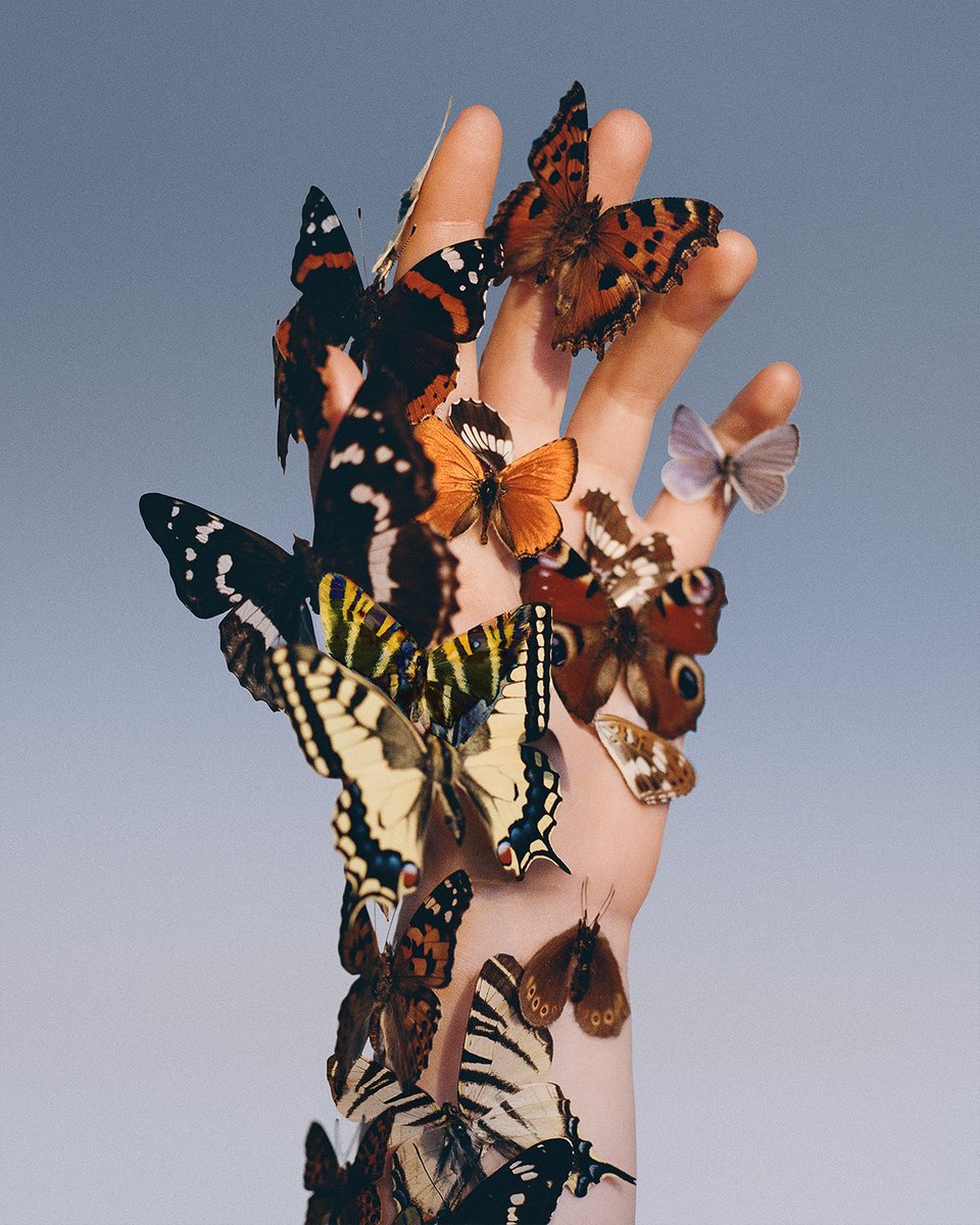 Synchrotania's tweet image. Temporal Mirage
