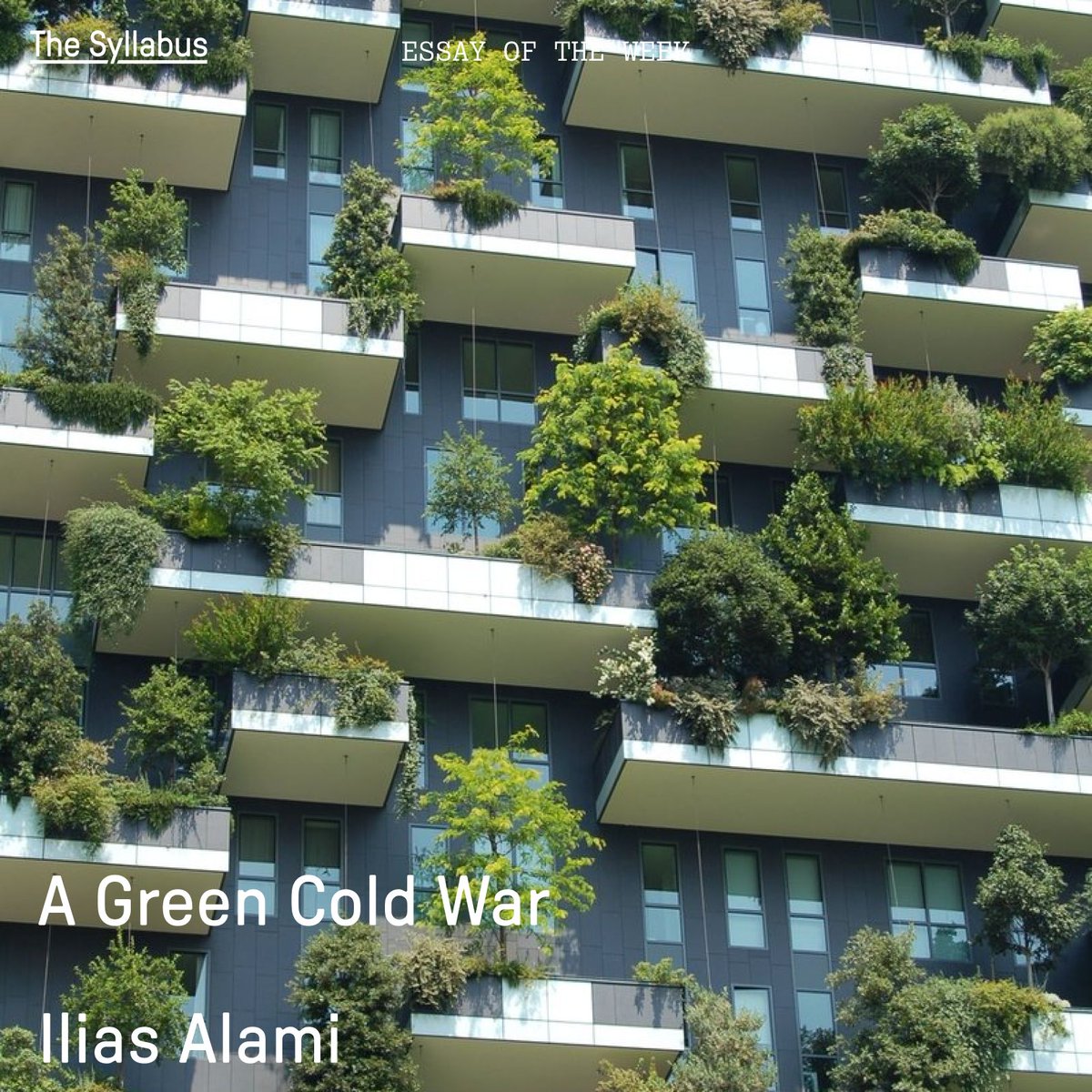 syllabus_tweets's tweet image. The "Second Cold War" is being fought for control over the networks of green capitalism. Our essay of the week posits that Global South nations are deploying "polyalignment" as a tool for national development.
By @IliasAlami in @break_downradio
buff.ly/I2Z4sYq