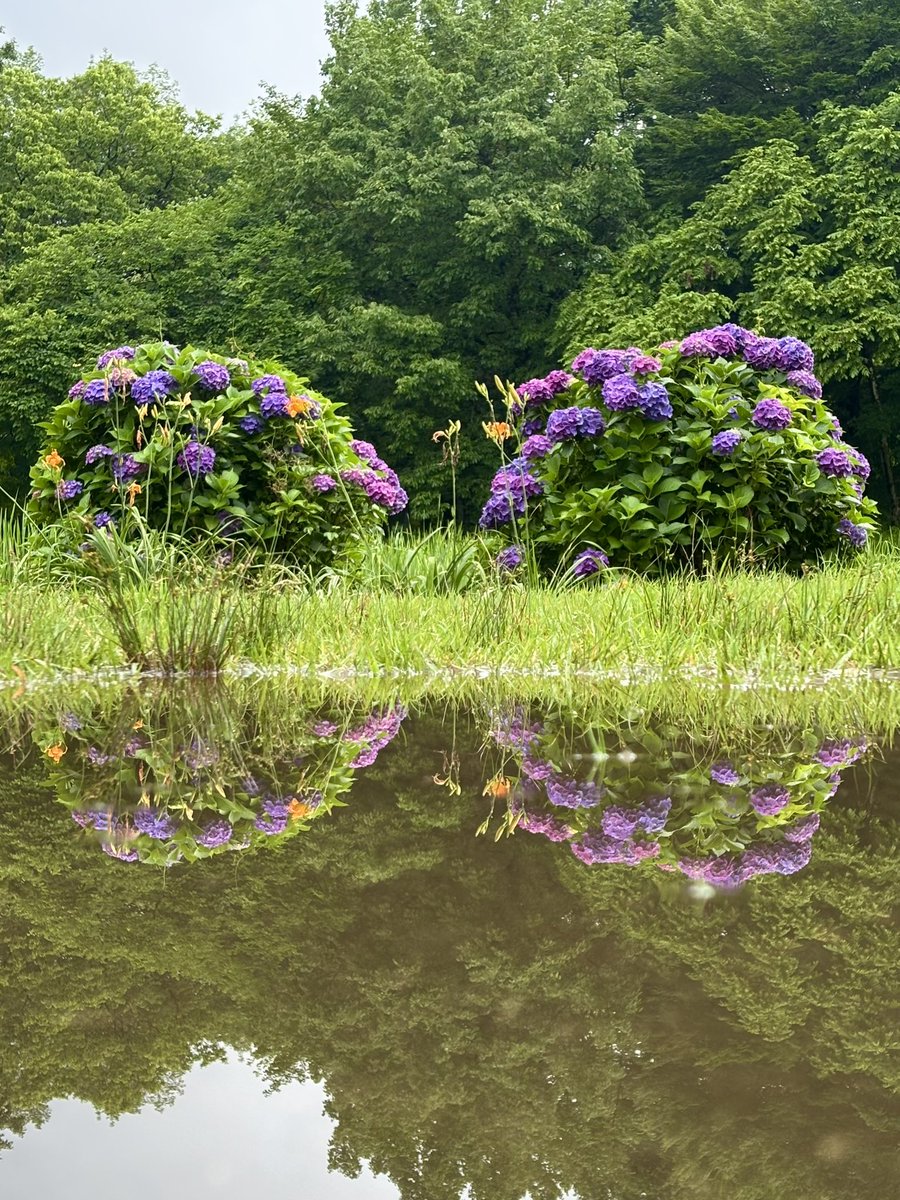 ThreeKingdoms_w's tweet image. 雨上がりの公園にて。
ちょっとした水たまりを利用して面白い景色を撮ることが出来ました。