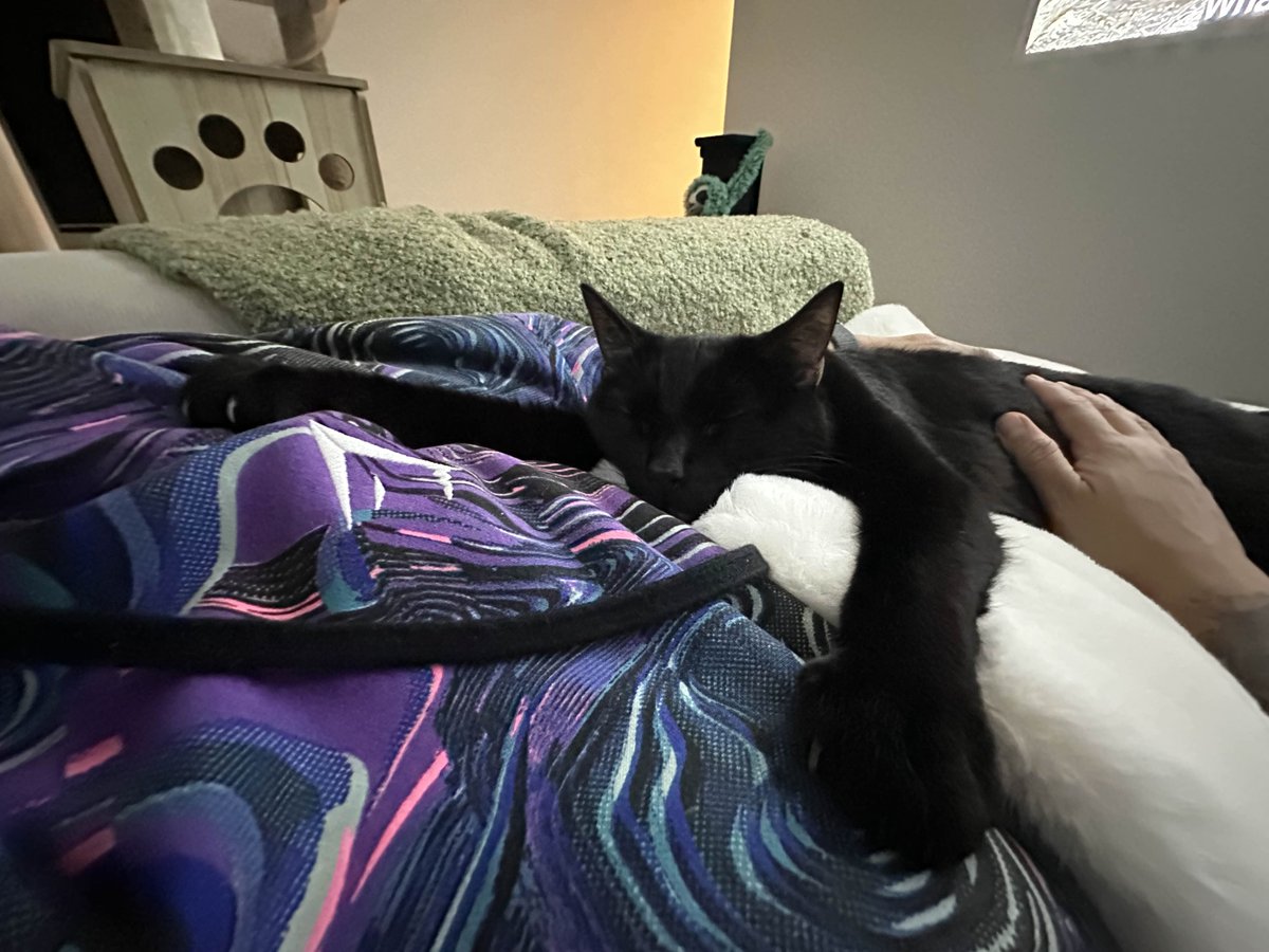 imfallfromgrace's tweet image. The worlds happiest void is here to bless your timeline 🐈⬛🖤