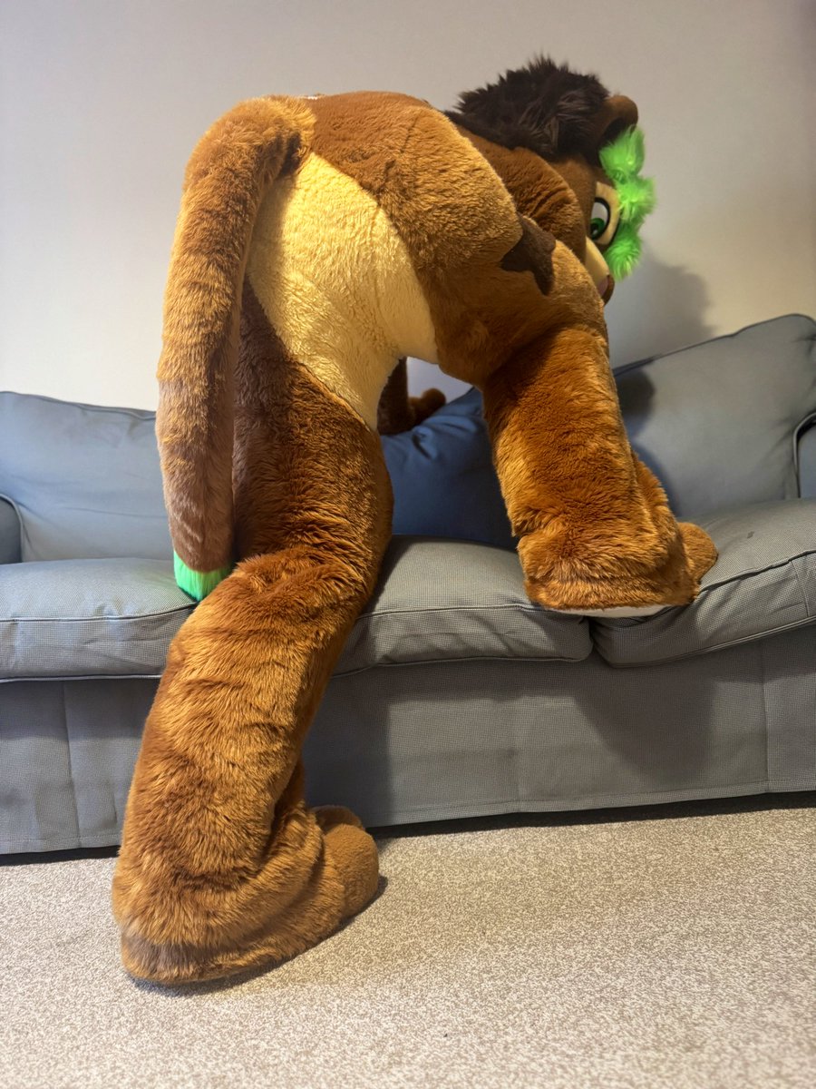 Wuffpaw's tweet image. Mid week butt peek.

🦁🍑