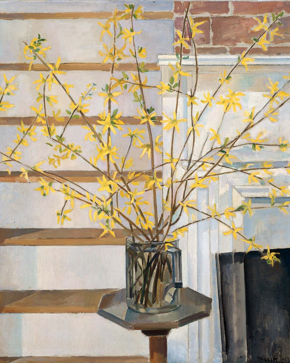 #CharlesSheeler painted several interiors and still lifes set in his home in rural South Salem, New York, including this springtime image dominated by branches of forsythia.

The artist was born #OnThisDay in 1883. See "Spring Interior" on view in our Art of the Americas Wing!
