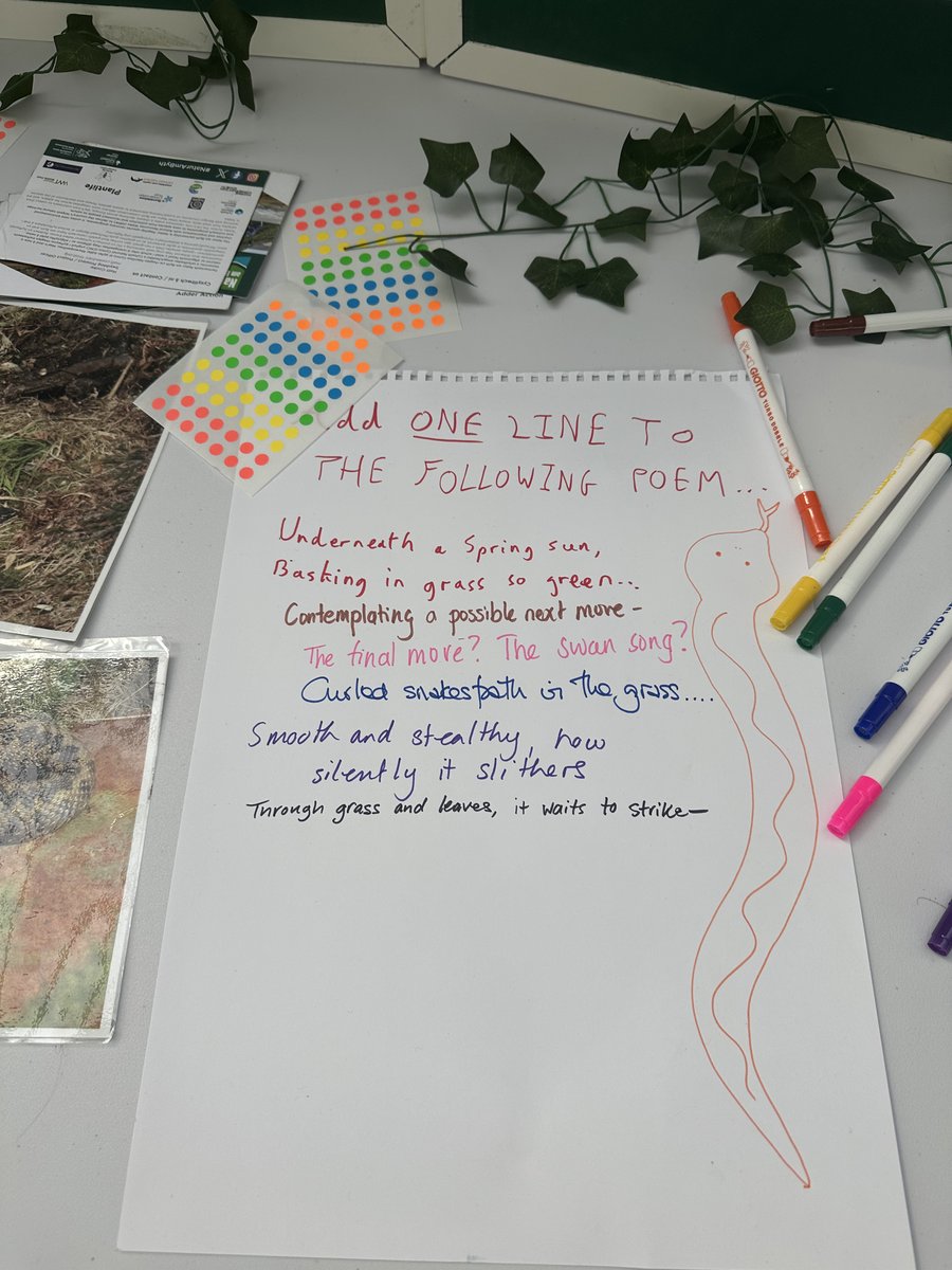 NaturAmByth's tweet image. Happy #WorldSnakeDay! 🐍🎨 Check out art from our @StFagans_Museum stall & learn how our #NaturamByth Adder Action project with @ARC_Bytes is saving Welsh adders! 👉 orlo.uk/73ZWQ