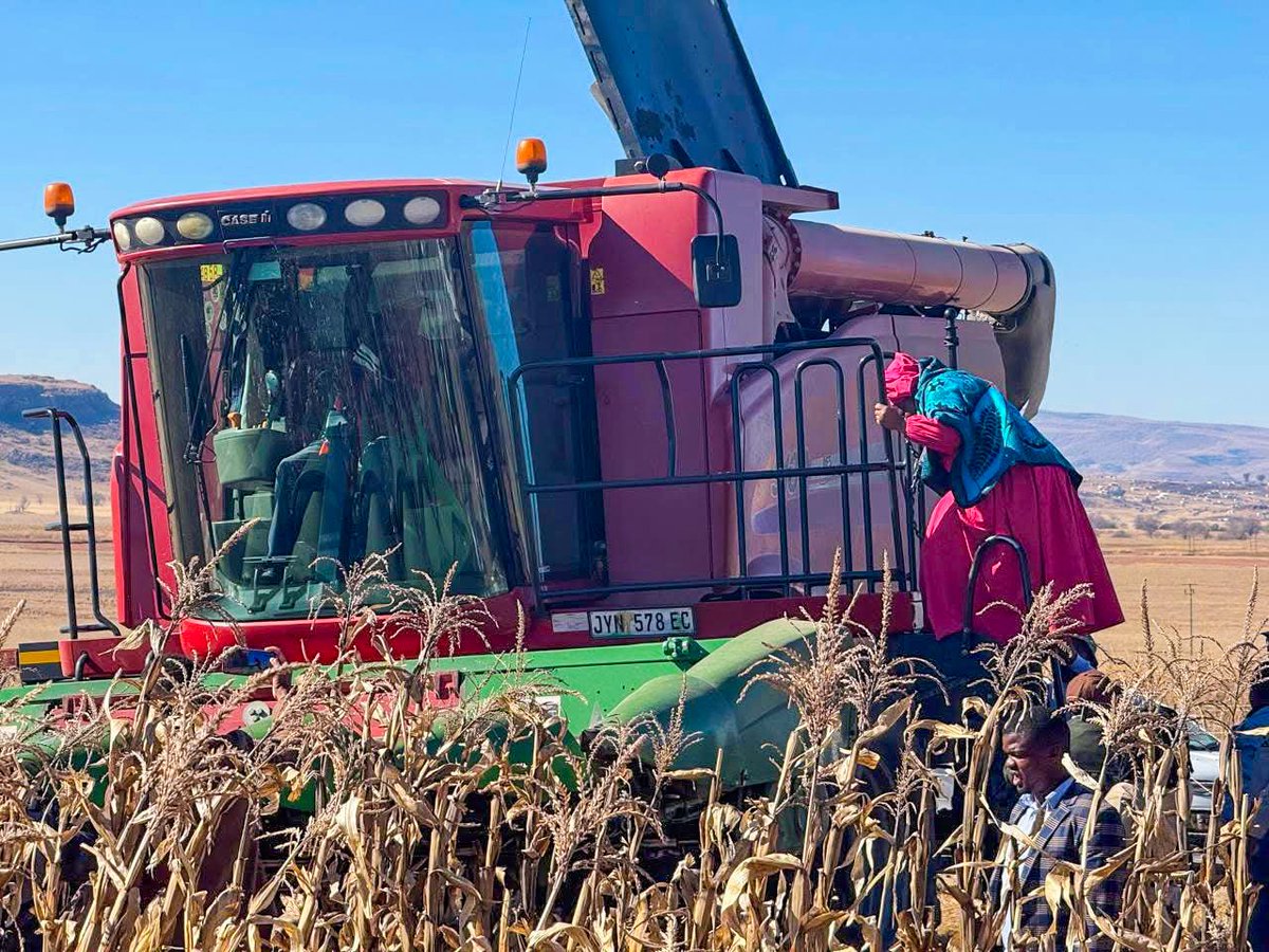 Eastern Cape Harvest Day celebrates record yields

👉africanfarming.com/tiny/h5mg