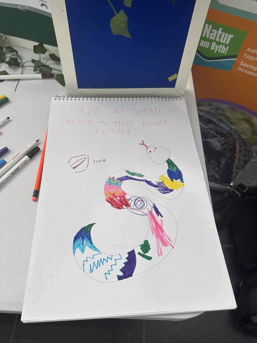 NaturAmByth's tweet image. Happy #WorldSnakeDay! 🐍🎨 Check out art from our @StFagans_Museum stall & learn how our #NaturamByth Adder Action project with @ARC_Bytes is saving Welsh adders! 👉 orlo.uk/73ZWQ
