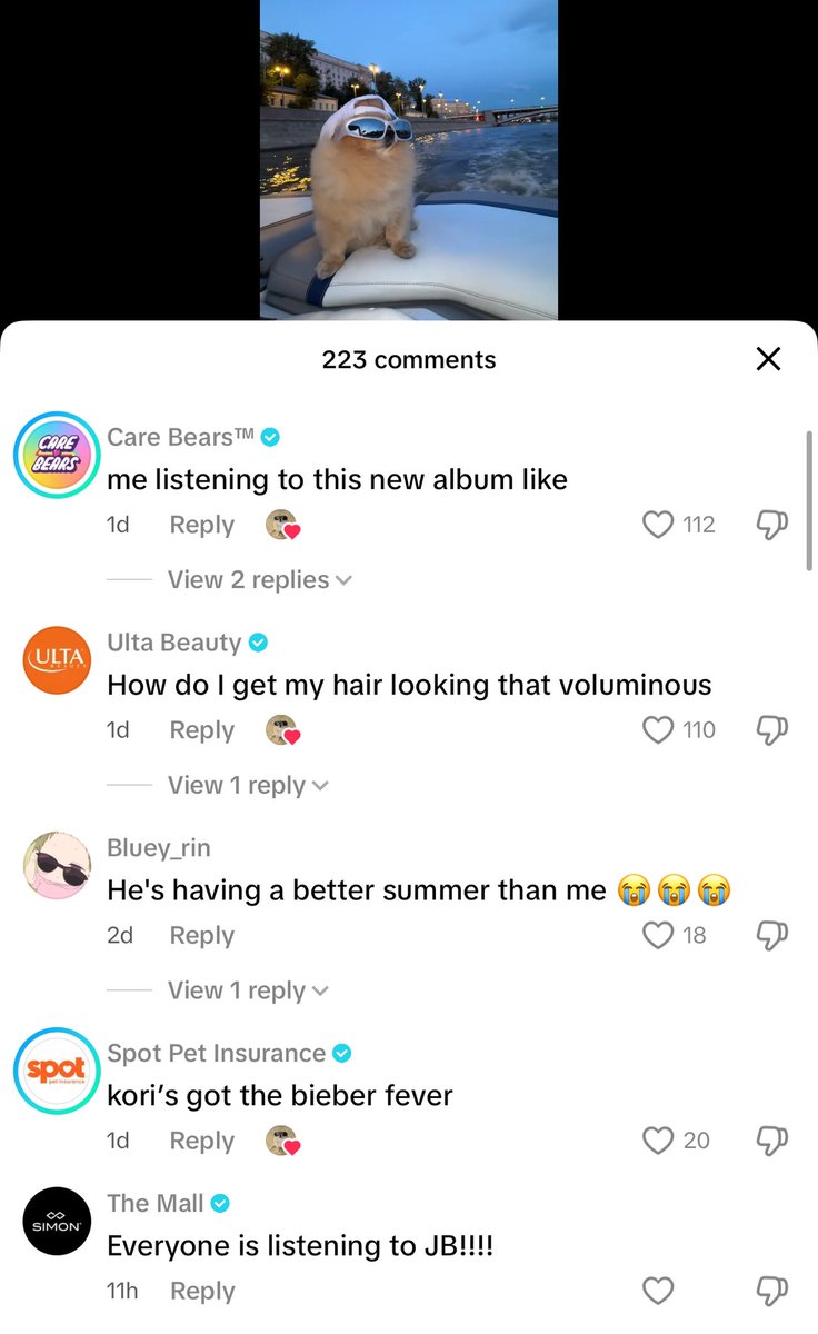 Kori has been of fire 🔥 lately 

+200,000 subs in the last 4 days alone, with recent videos hitting 2M LIKES and big accounts commenting 

Incredible only momentum while the chart consolidates at 30M

$kori has the potential to be a blue chip and the leading animal runner in