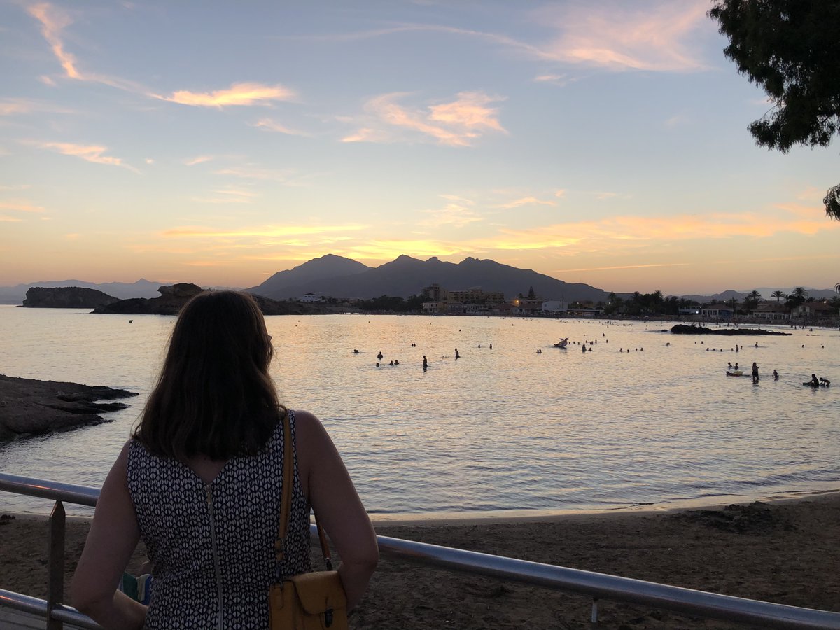 Rafael Camarillo tweet media